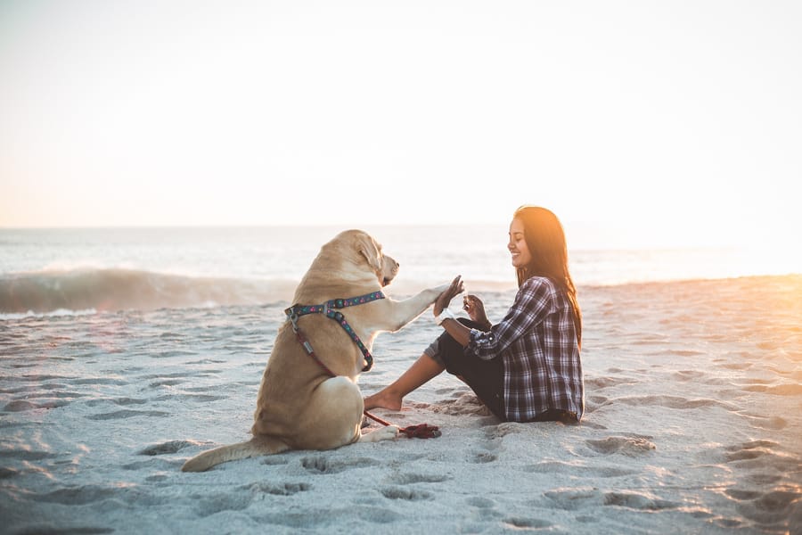A woman and a dog on the beach
